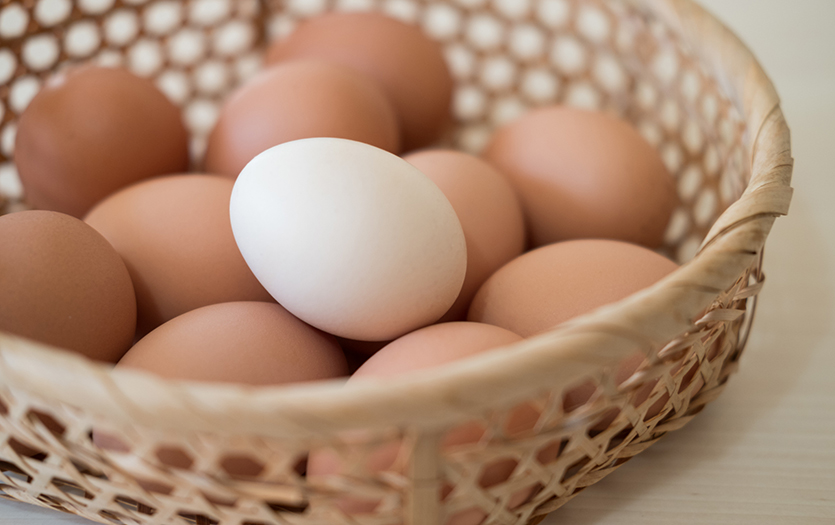 Dashboard 835 Health benefits of eggs 1 24 2